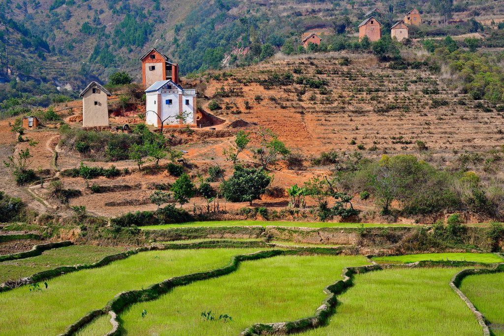 Ambositra Region